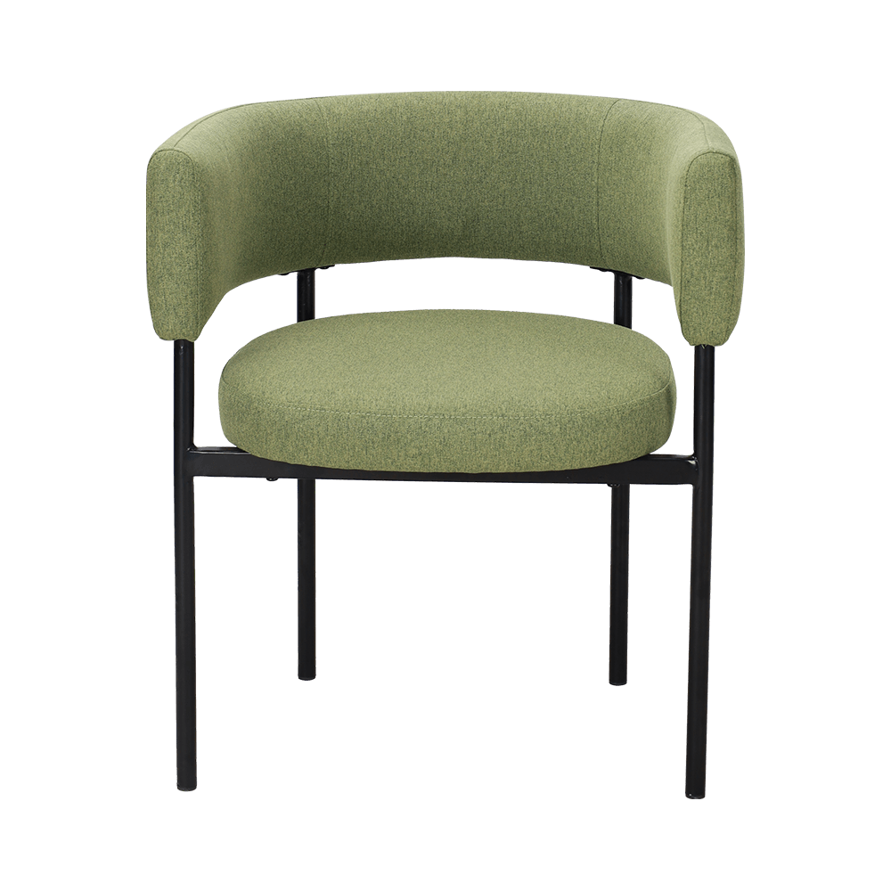 Asit Yeşil Metal Bacak Yemek Sandalyesi